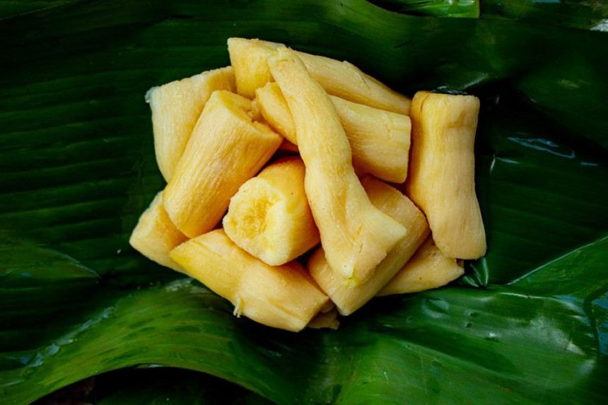7 Manfaat Tape Singkong untuk Kesehatan yang Perlu Diketahui